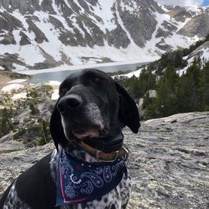 Meet your Posher, Patrick